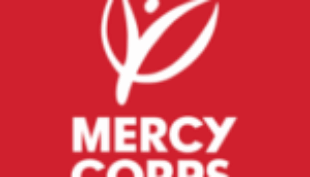 Responsable Finance et de la Conformité, Bamako, Mali- Job Ref ML/MC/2405/2502